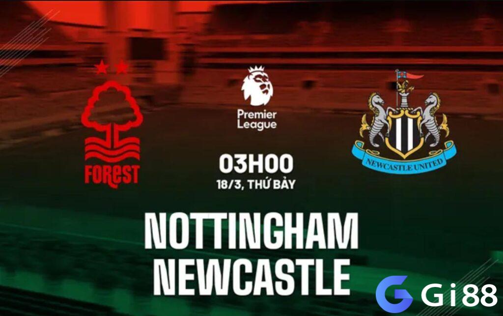 Nhận định trận đấu Nottingham vs Newcastle