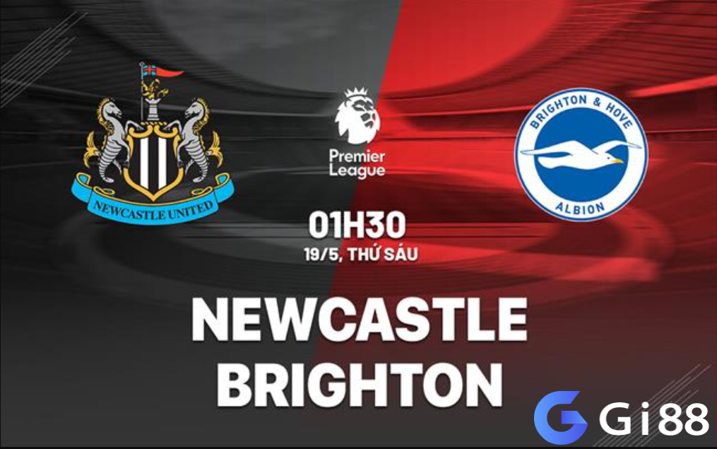 Nhận định trận đấu Newcastle vs Brighton