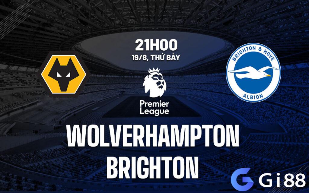 Nhận định trận đấu Wolves vs Brighton