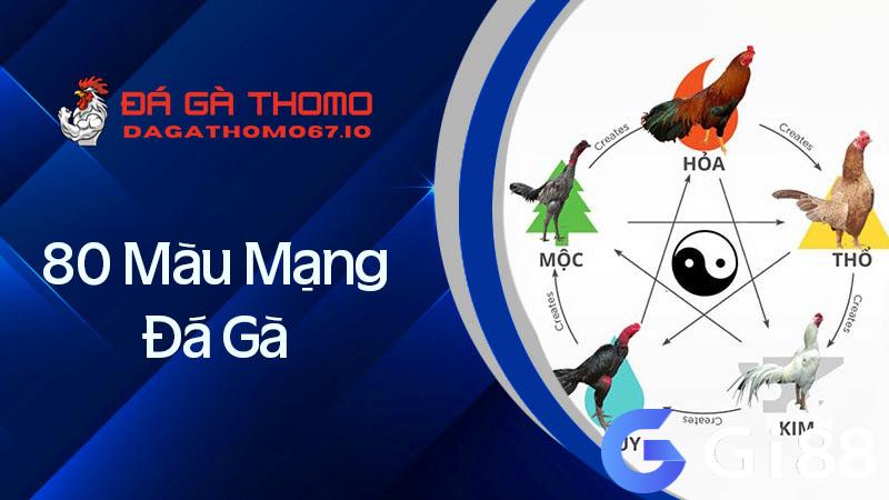 Khám phá 80 màu mạng đá gà theo phong thủy