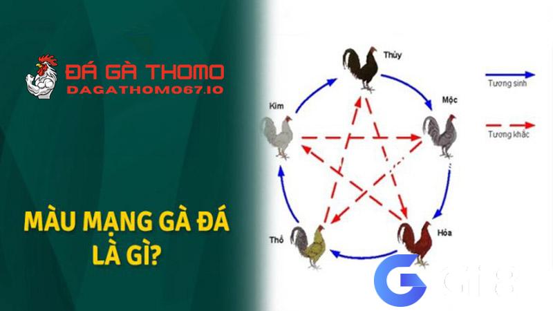 Màu mạng gà đá là gì?